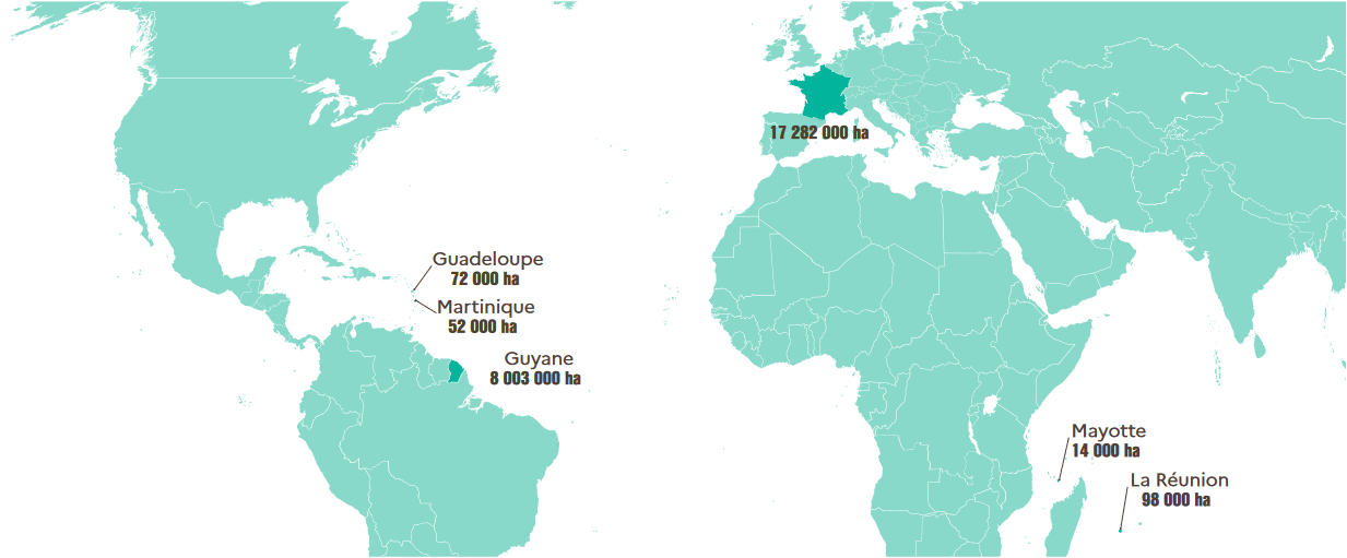 Figure représentant la répartition des surfaces forestières françaises dans le monde.