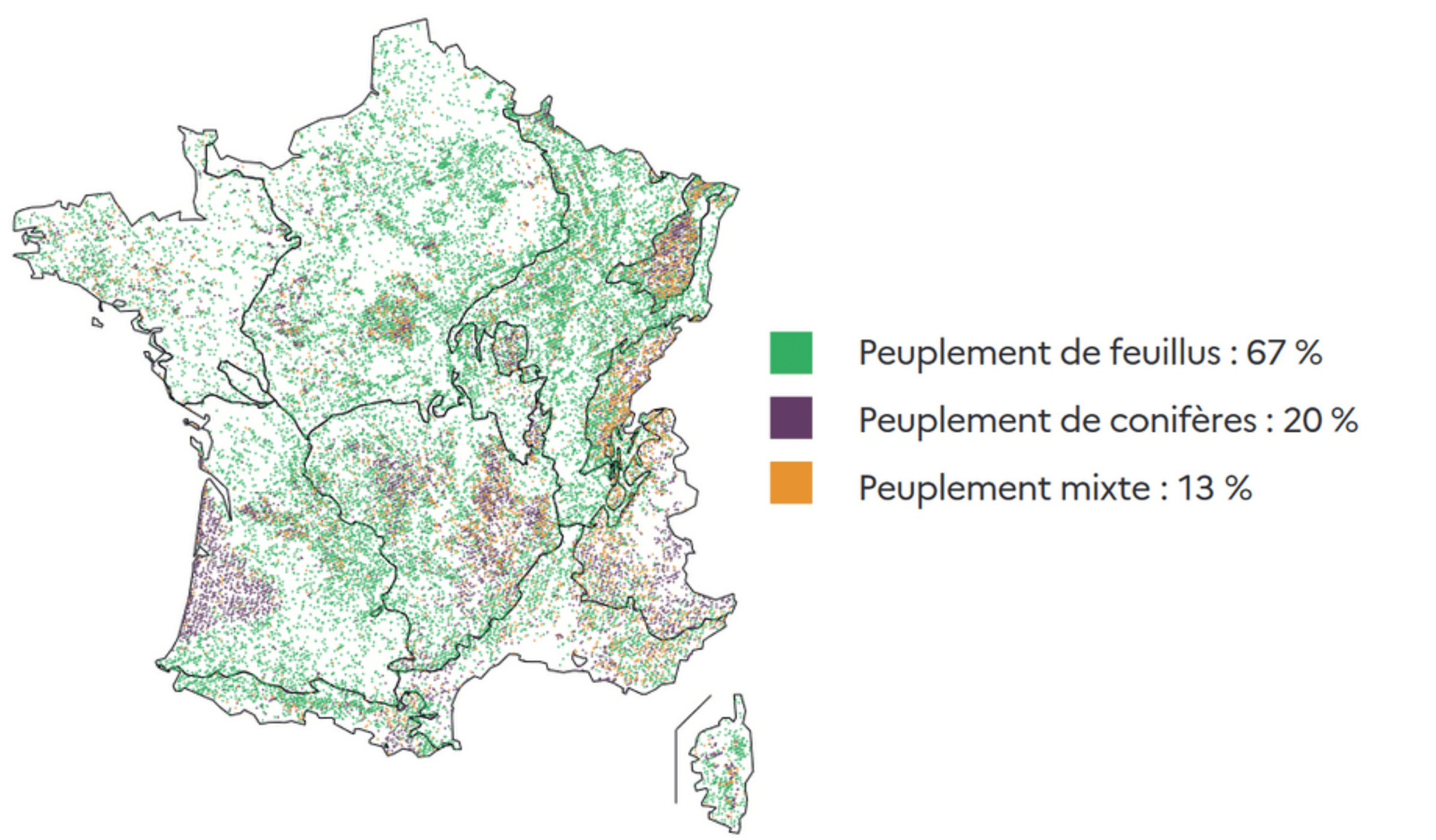 Carte des différents peuplement forestier (résineux, feuillus ou mixtes).